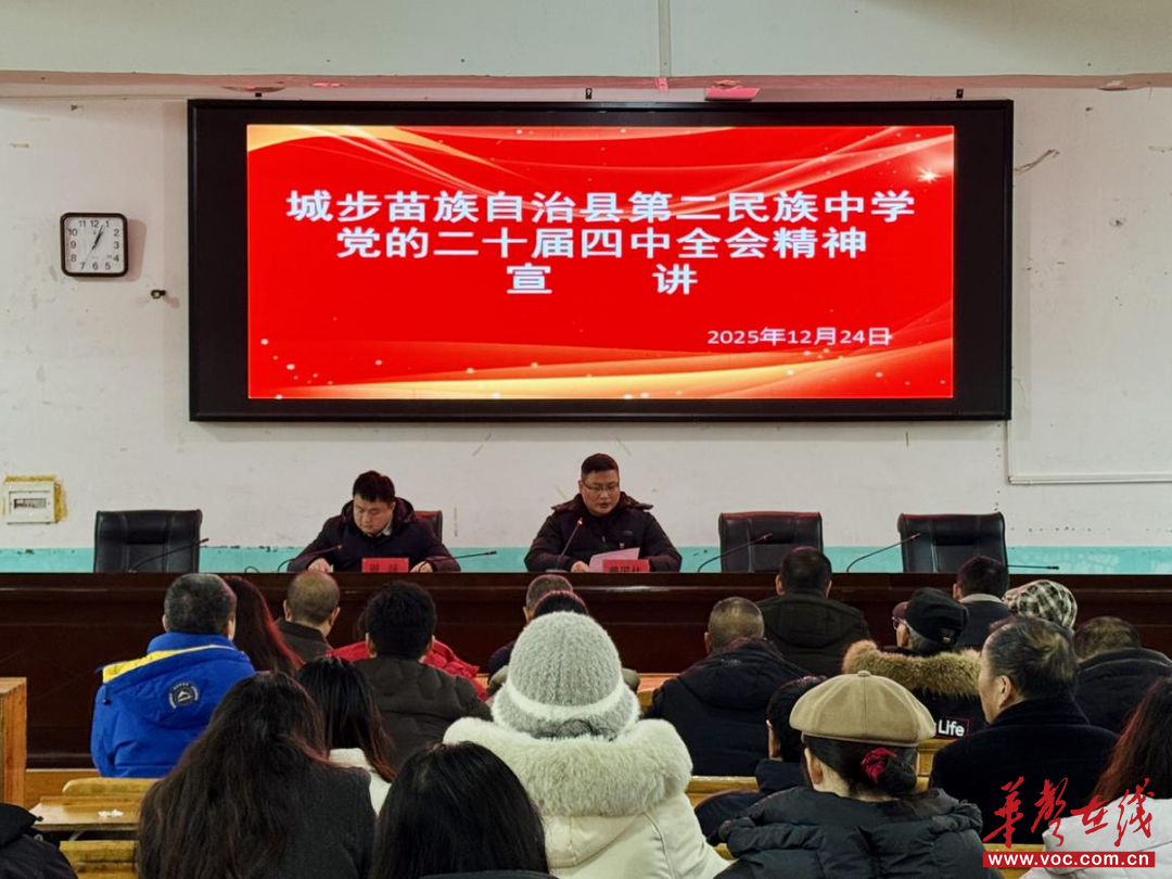 筑牢党建根基 城步二中党支部开展主题党日活动