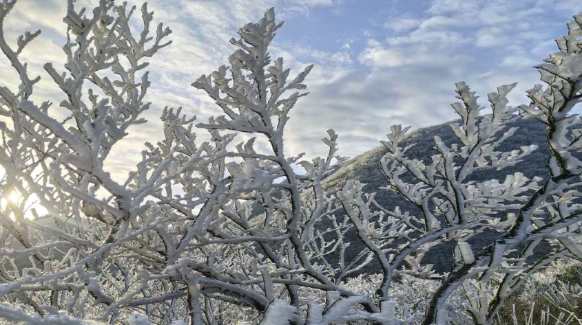 大围山下雪！闯入冰雪森林，这个冬天玩雪有去处了