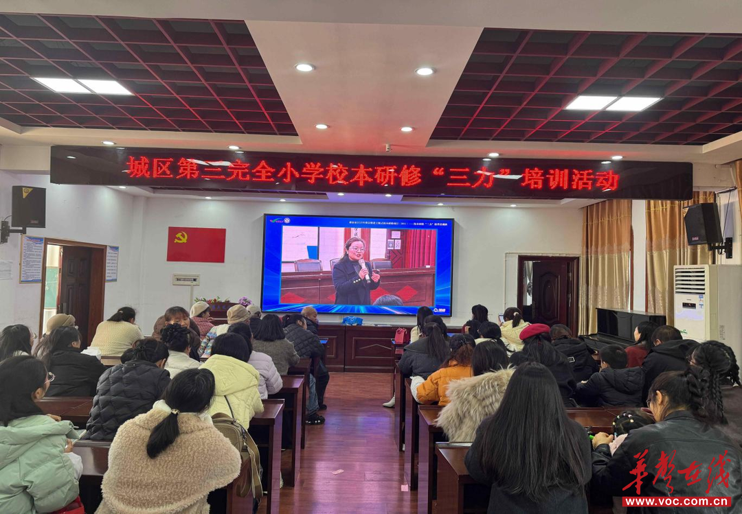 邵东市圆满举办2025年主题式校本研修“三力”提升培训班
