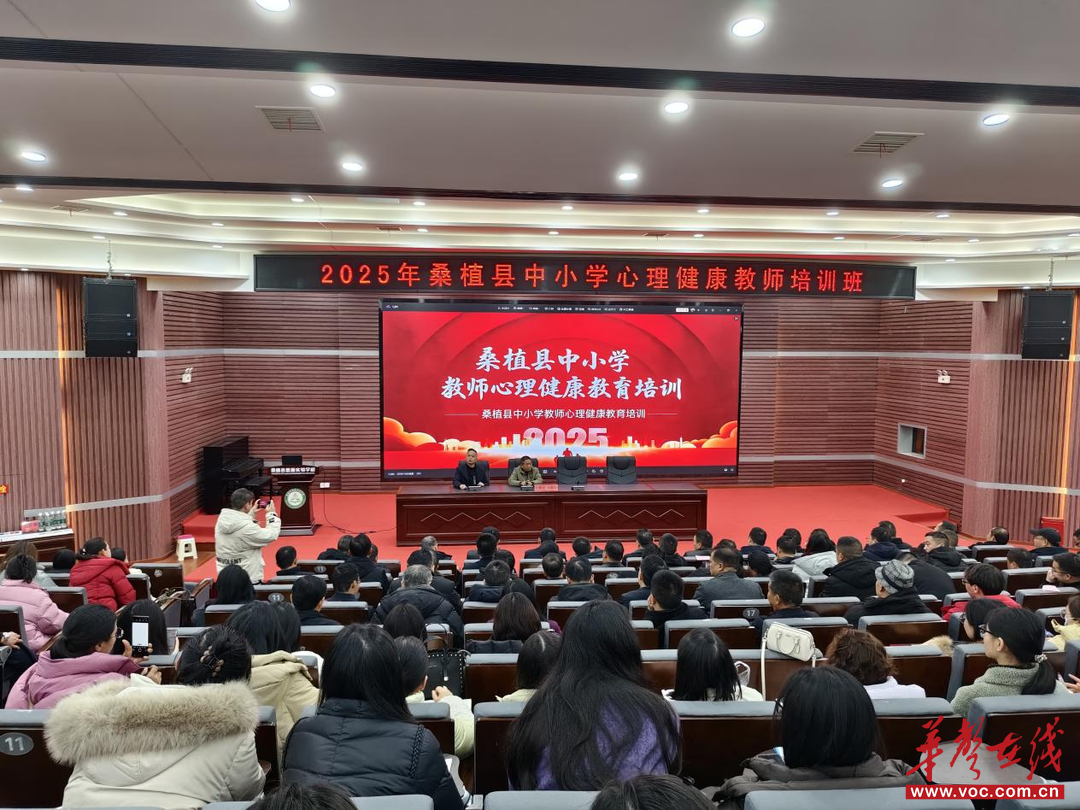 “心”动力  “育”未来 桑植县举办中小学心理健康教师培训班