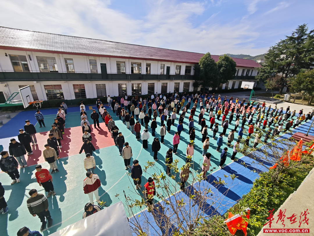 旧楼与新光：树山笔记