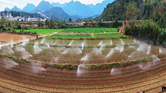 蔬菜轮种促增收