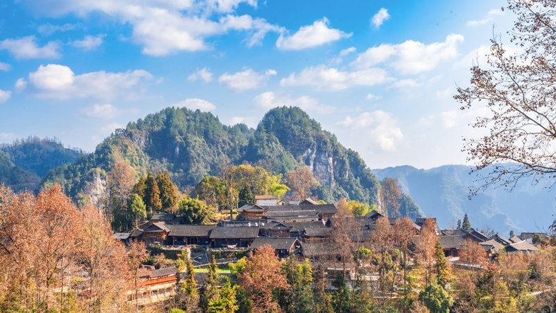 多彩冬景 绚烂如画