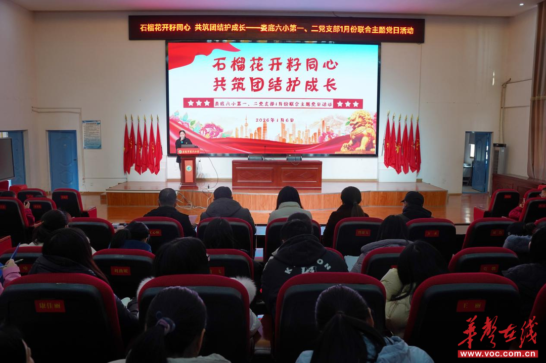 娄底六小开展“石榴花开籽同心·共筑团结护成长”主题党日活动