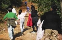 “爱心线”“玫瑰线”……花式徒步火了