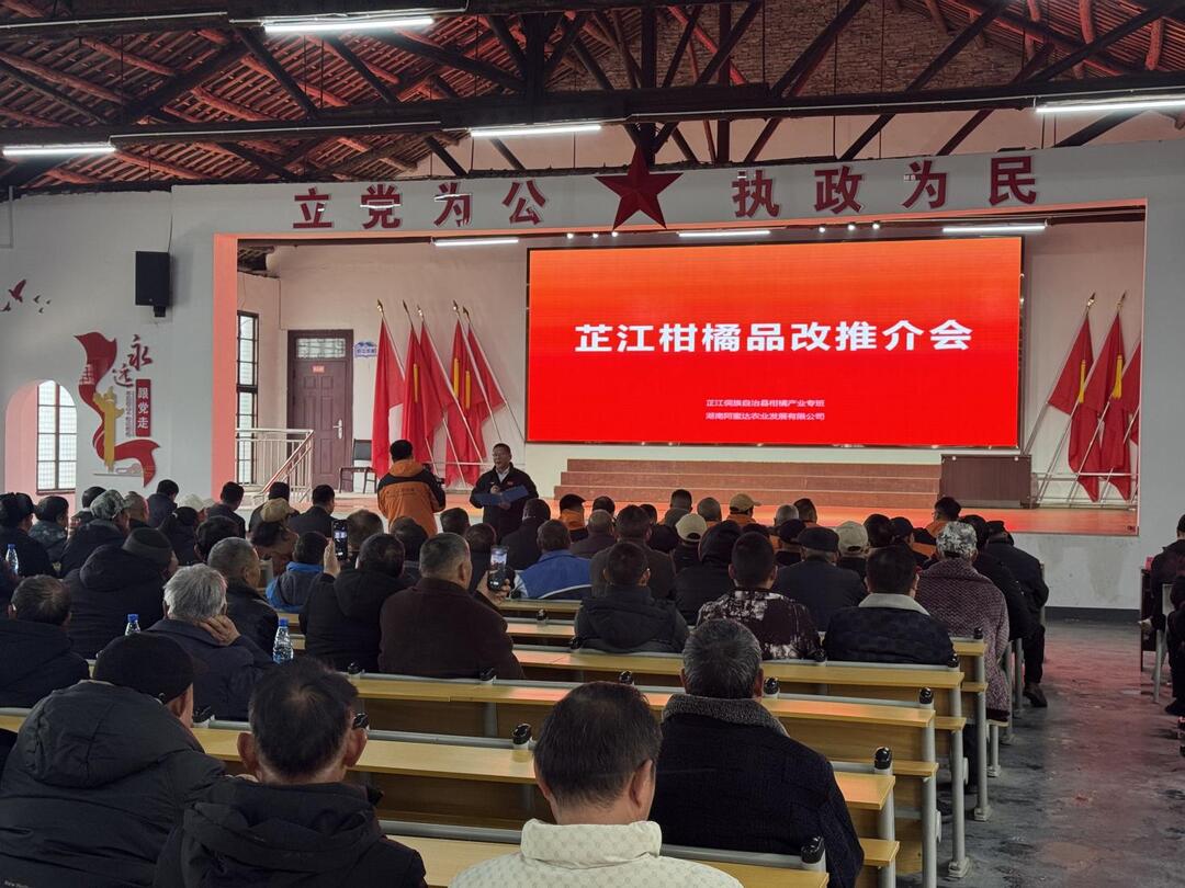 芷江侗族自治县楠木坪镇召开柑橘品改推介会 赋能甜蜜产业助力乡村振兴