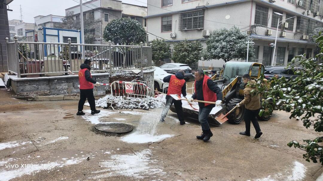 以“迅”应“冻”暖民心 马桥河村除冰保畅在行动