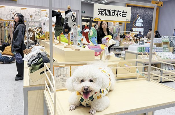 “毛孩子”掀起消费热｜经济观察