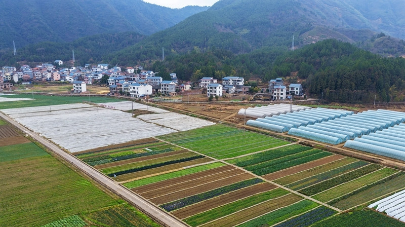 蔬菜防寒助增收