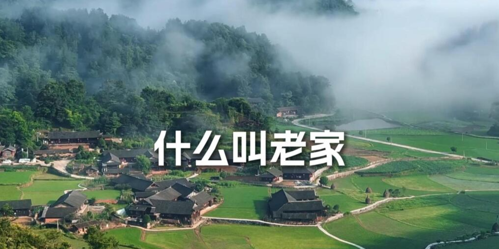视频｜什么是老家？