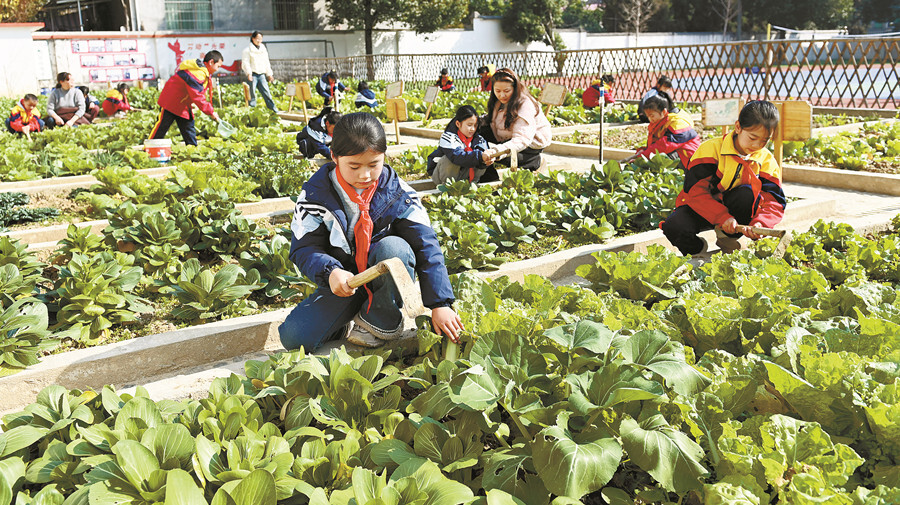 校园农场助力劳动教育