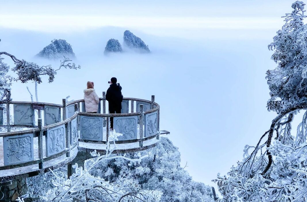 一山雾凇一池暖汤，冬游莽山正当时丨好玩湖南