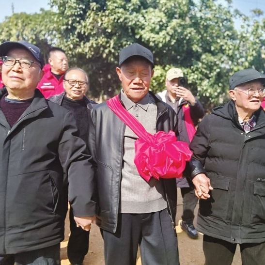 白发苍苍，找回儿时的竹影山岗