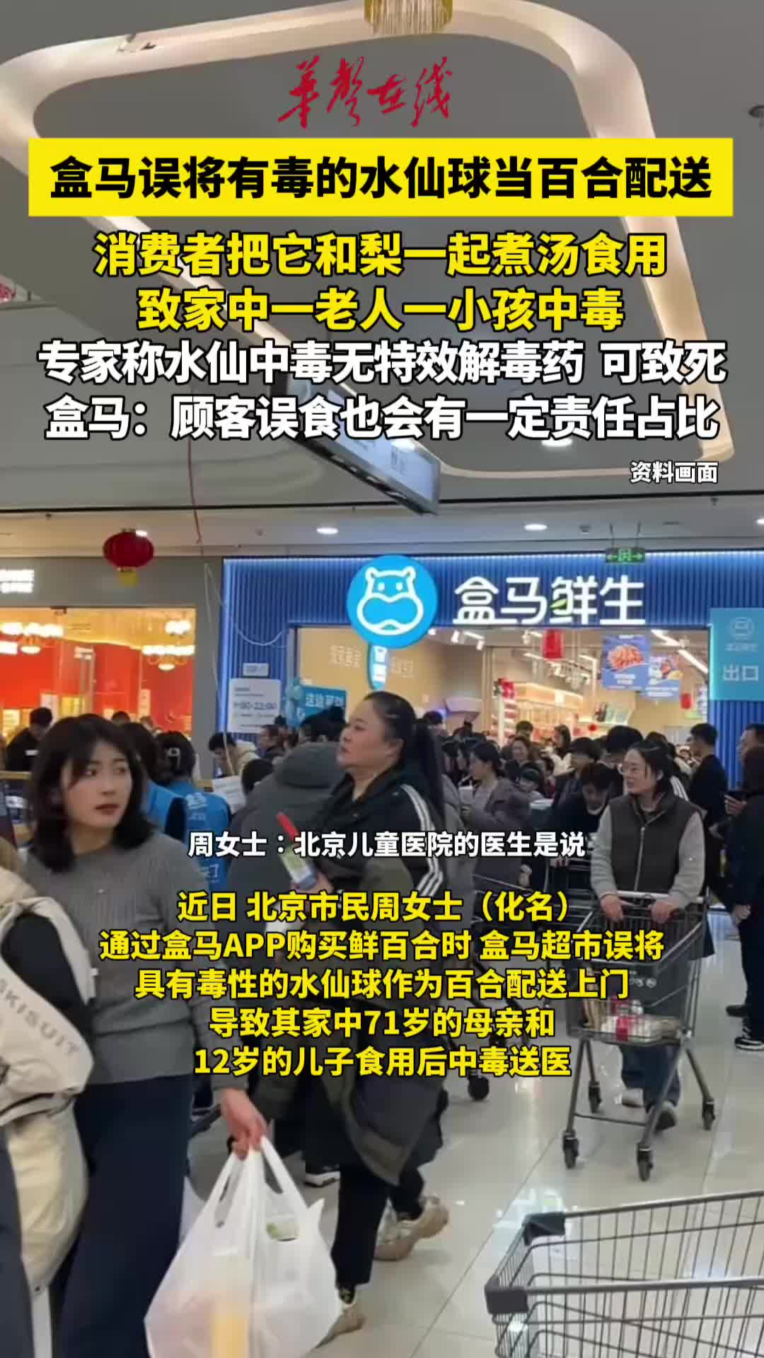 盒马误将有毒的水仙球当百合配送