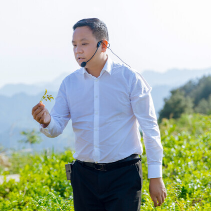 刘超：让莓茶成为乡村振兴 &ldquo;致富藤&rdquo; 