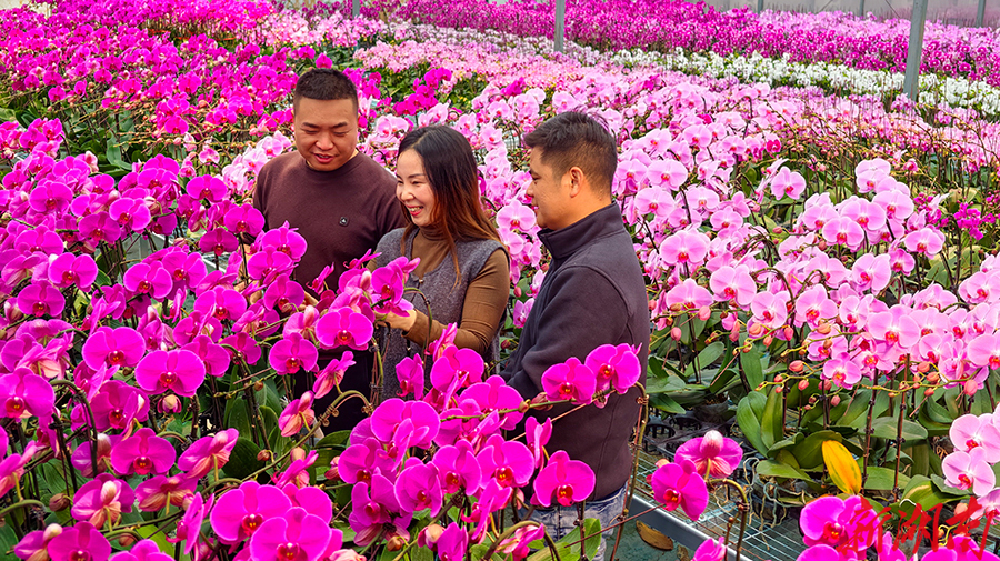 “美丽”经济富村民