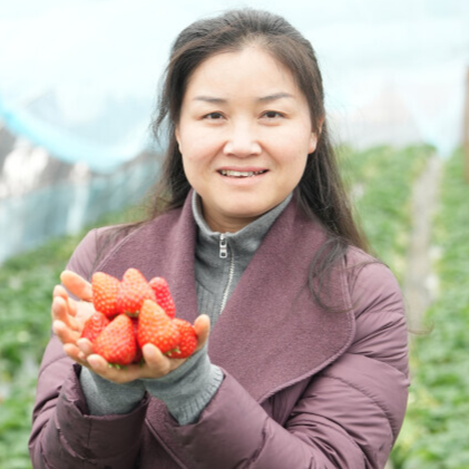 熊姣军：扎根农业一线 带来3个好消息