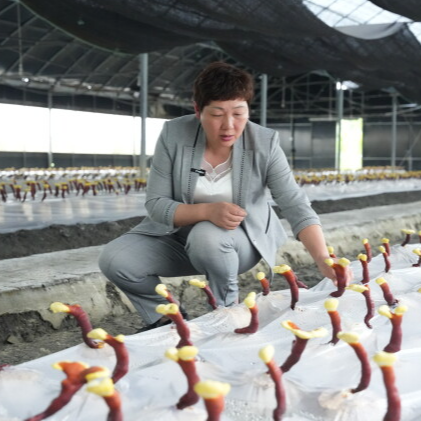 黄凤兰：当好新农人代言人、乡村振兴推动者