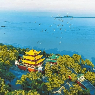 安乡读书台的左邻右舍