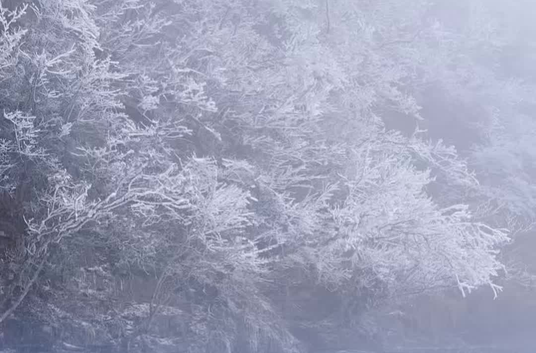 漫天飞雪落天门，张家界天门山冬天解锁“白色大片”