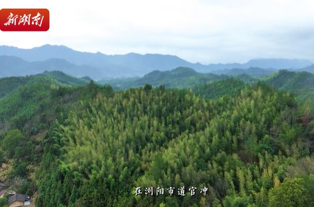 【古村年味】长沙市道官冲——纸映山乡春