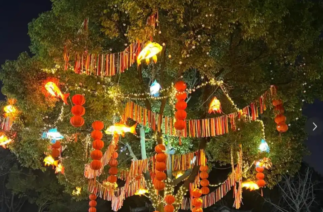 马年游湖南⑩｜新春狂欢！湘潭缤纷文旅活动超有料