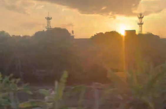 白水煮出年滋味：岭南的餐桌C位，是一盘沾酱的白切鸡