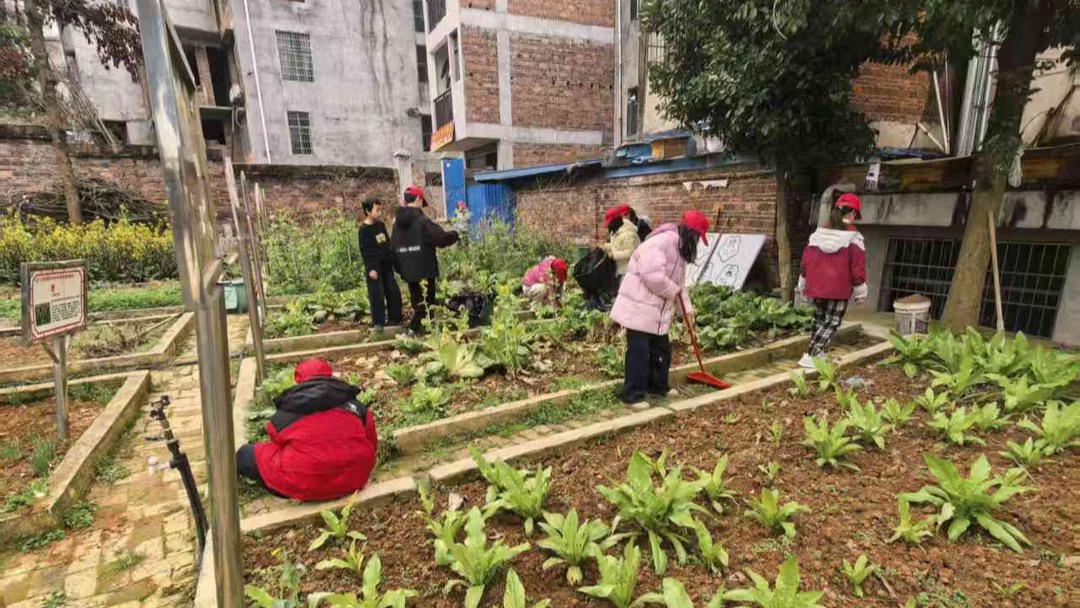 追“锋” | 隆回县三阁司镇中心小学开展学雷锋劳动实践活动