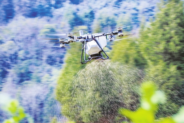 驚蟄時節農事忙