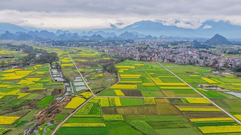 在研究新情况、解决新问题上下功夫、出经验