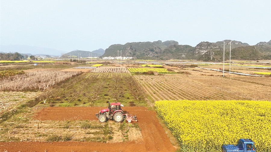 抢抓农时忙农事