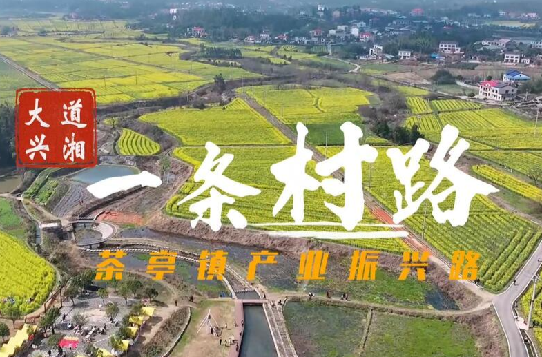 大道興湘?一條村路 | 路通了，是我回鄉的一個理由