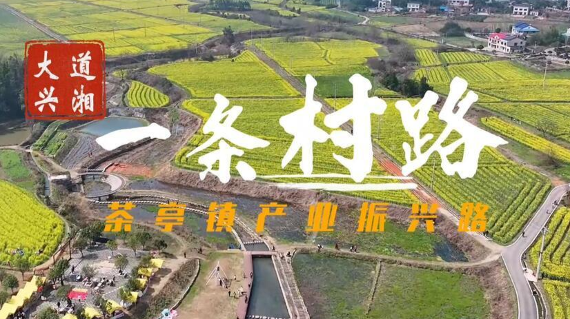 大道兴湘•一条村路 | 路通了，是我回乡的一个理由