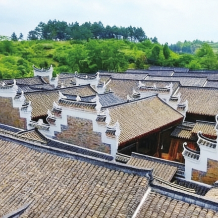 蔭家堂：雕梁畫棟間的財富密碼