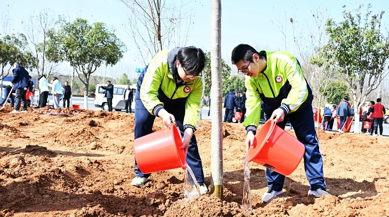 春来植树添新绿