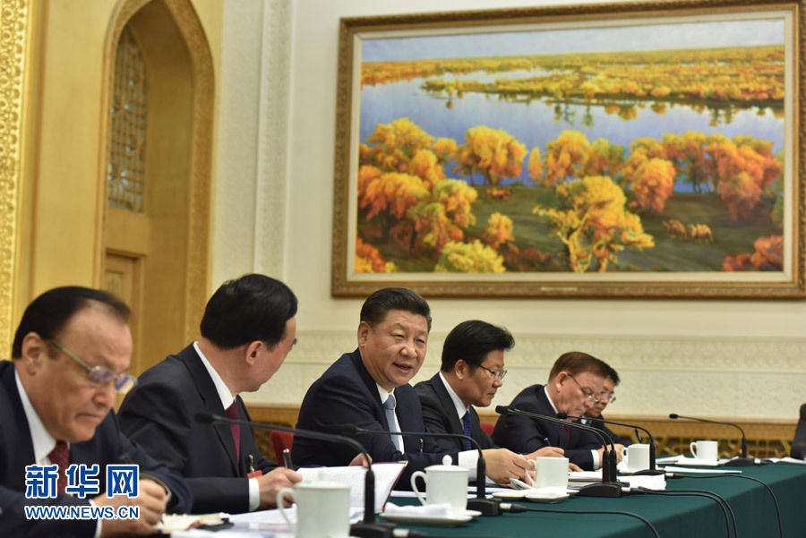 习近平总书记同代表委员共商民族团结进步事业的故事