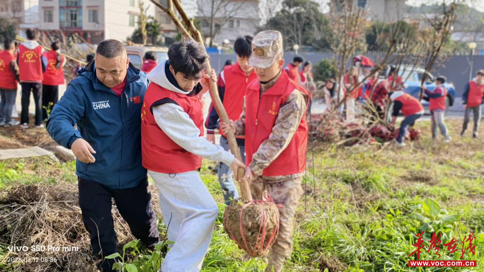 学雷锋践初心 植新绿护家园 武冈市篮深学校举行2026年植树节主题活动