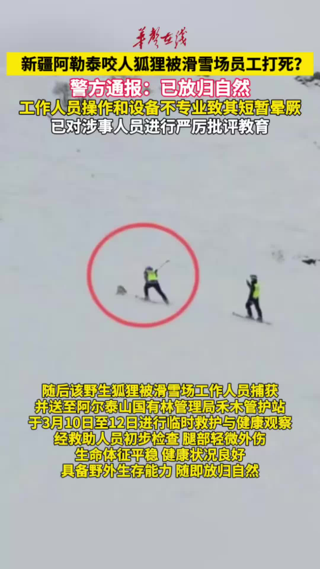 警方通报所谓打死野生狐狸事件