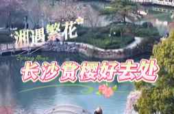 湘遇繁花 | 全部免费！长沙赏樱好去处推荐 