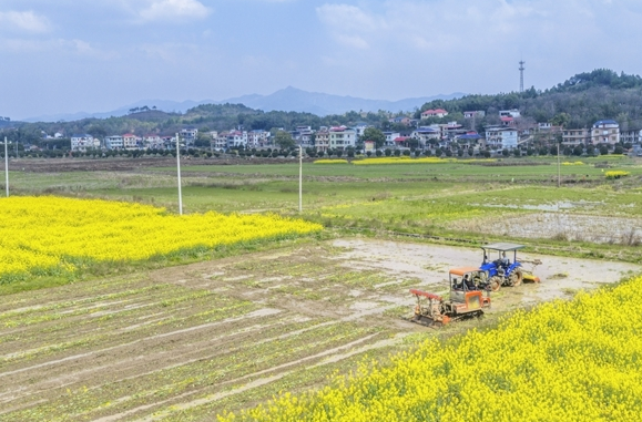 田野里的“新”答案——益阳春耕备耕一线观察