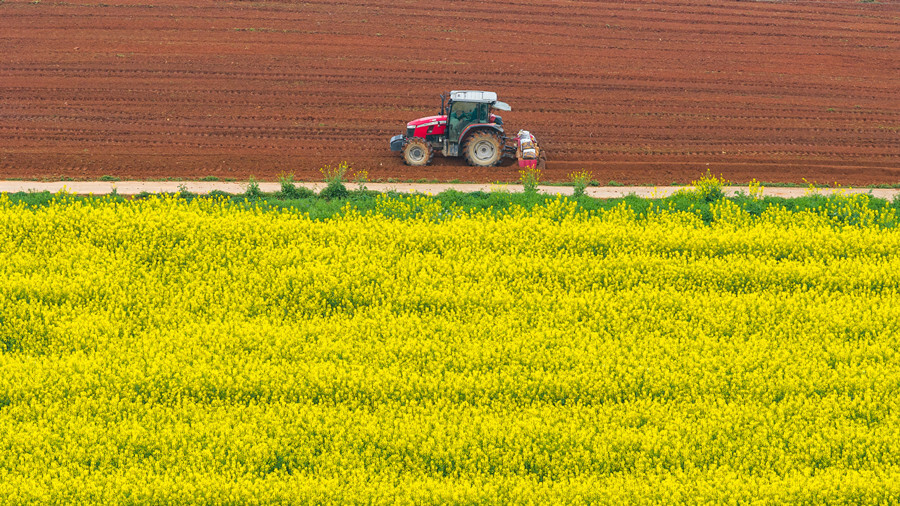 抢抓农时忙春耕