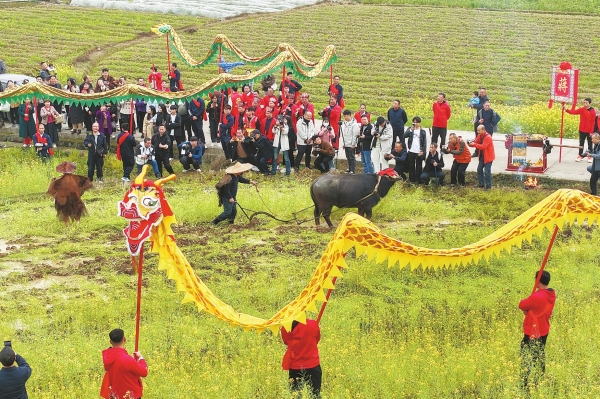 春分巧遇“龙抬头”