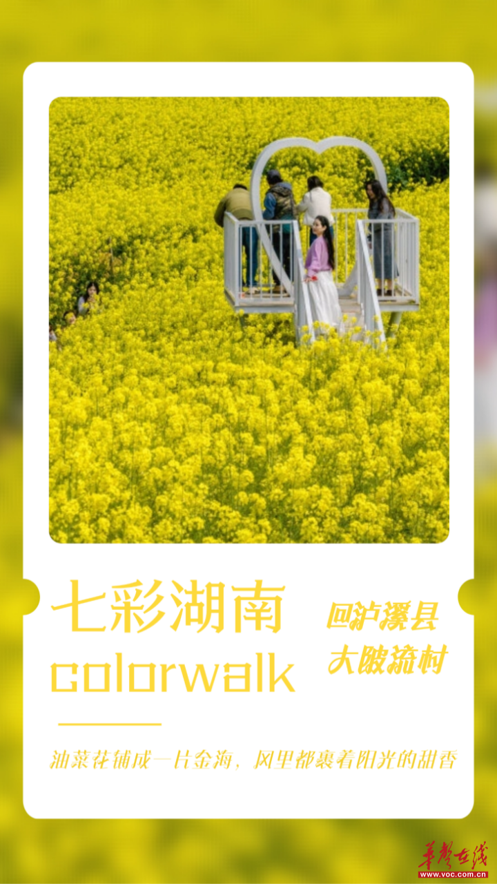海报丨七彩湖南踏春“colorwalk”，走起！