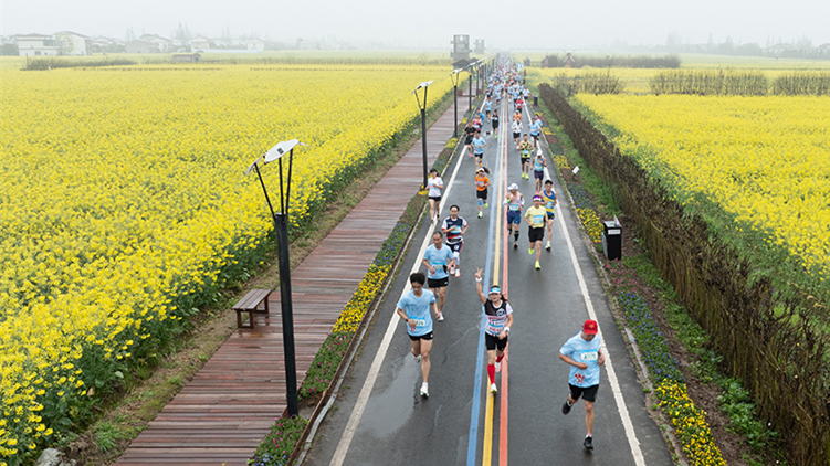 南县罗文花海半程马拉松开跑