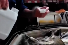 辣点财经|“休眠”鱼上餐桌，监管不能也“睡”了