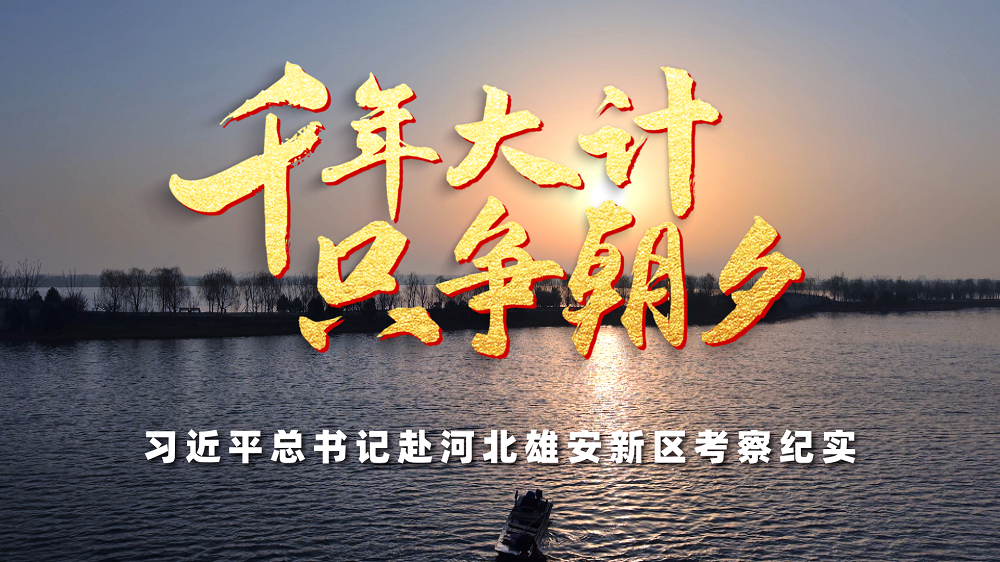 时政微纪录丨千年大计 只争朝夕——习近平总书记赴河北雄安新区考察纪实