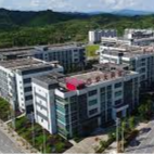 湘琼县域合作，麻阳先行一步——飞地园区里，橡胶产业链风起正劲
