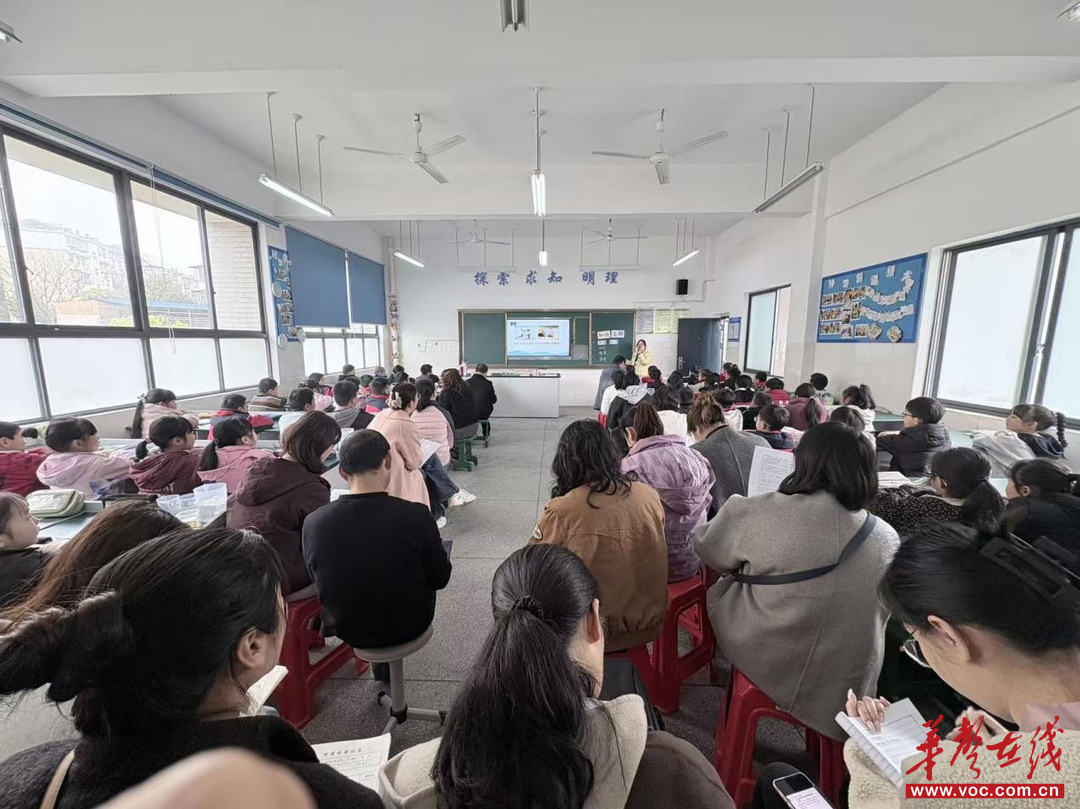 芦淞区举行第三场小学科学研培活动 深耕教研助力科学教育提质