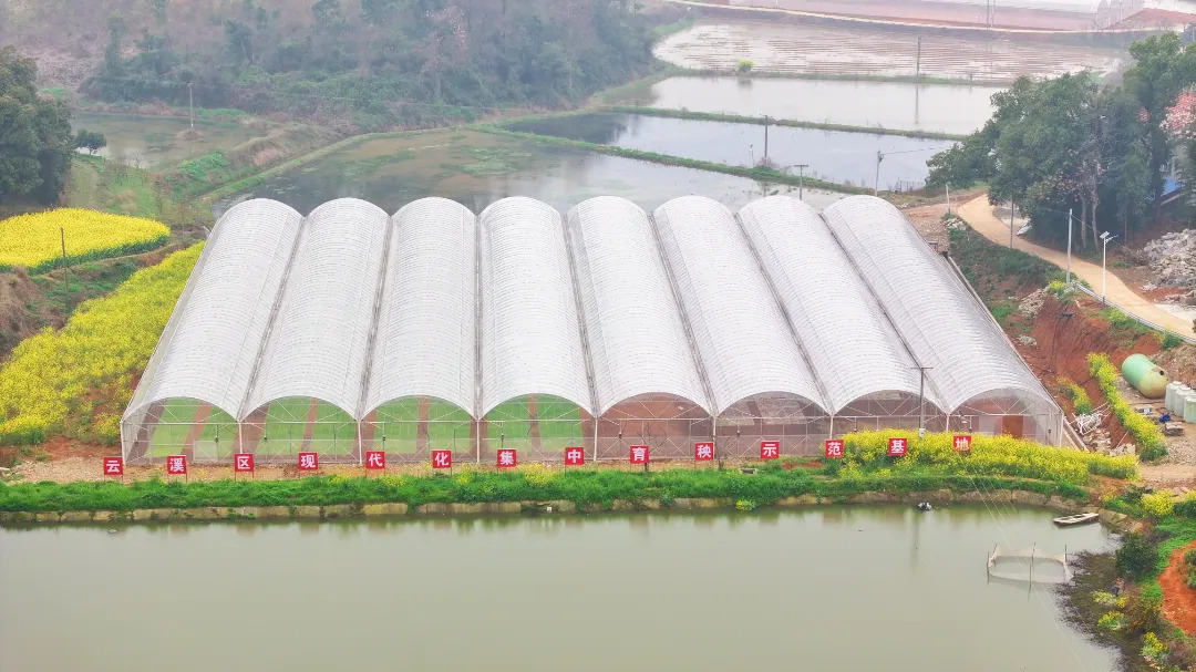 DJI_20260325155217_0333_D.JPG