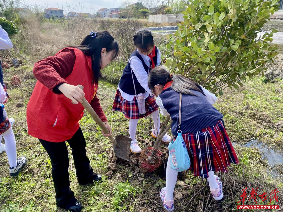 常德市武陵区滨湖小学：党建带队建 种绿践初心